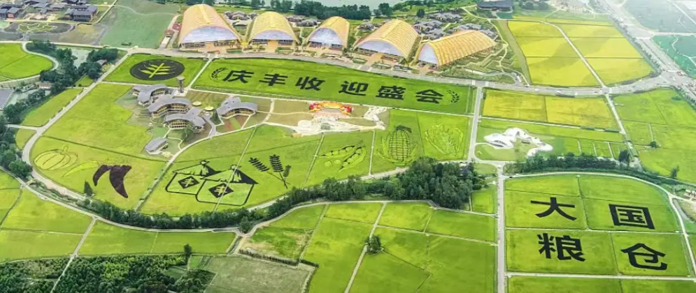 第五个中国农民丰收节|B体育携农产品品质成分低场核磁快速分析仪 亮相天府农博园